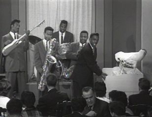 rock baby rock it 1.jpg